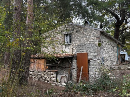 La "casa del bosco" e la nostra "civiltà"