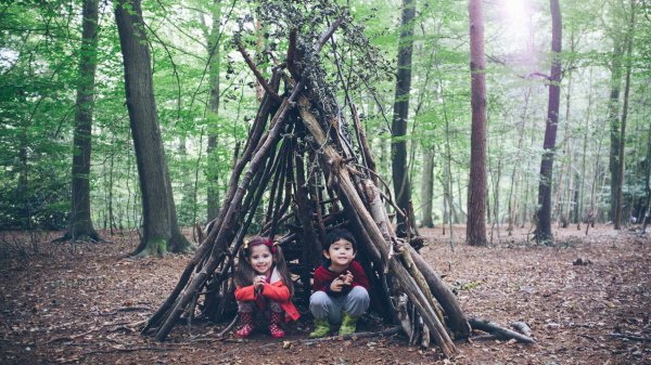 I bambini nel bosco sono capaci di salvarsi da soli