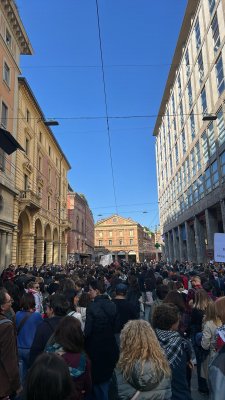 Leggere con equilibrio le manifestazioni in sostegno al popolo palestinese