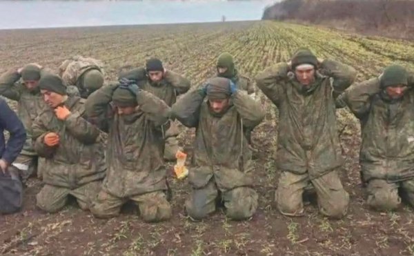 Ottusangoli allo sbaraglio