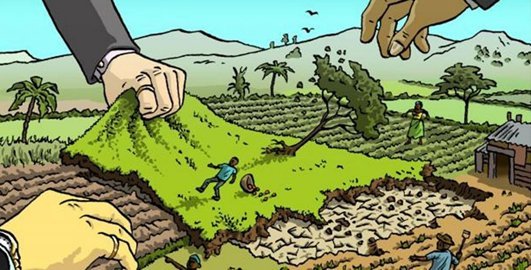 Rubano la campagna e colpevolizzano l'agricoltura