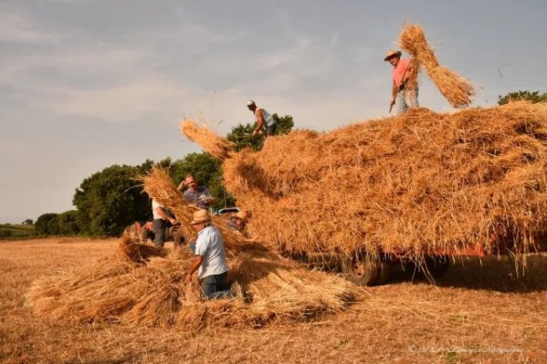 E la natura ci presentò il conto