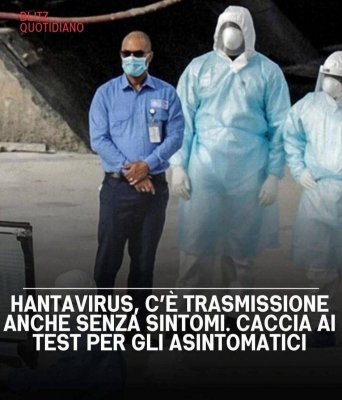 Guerra totale alle junk news