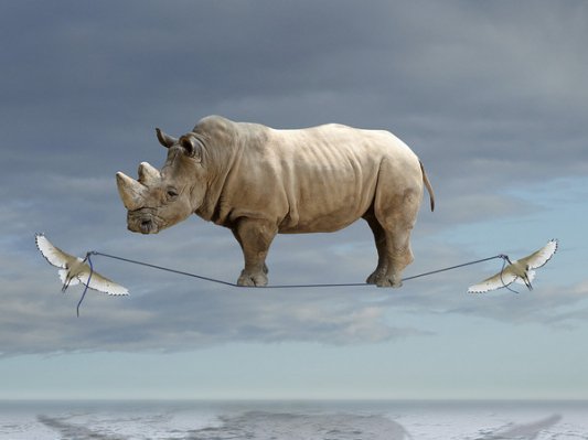 Il divorzio dalla realt&agrave; dell'oligarchia