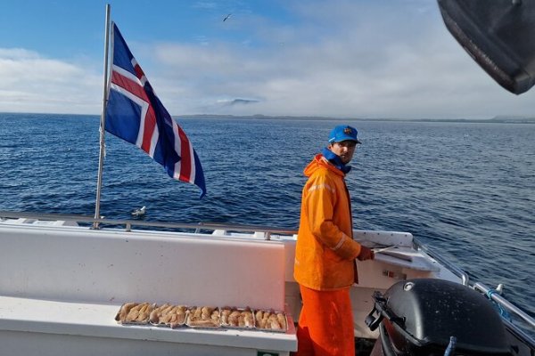Il No dell'Islanda alla Ue è una grande lezione per tutti i popoli europei: vincono il popolo, la sovranità e i pescatori