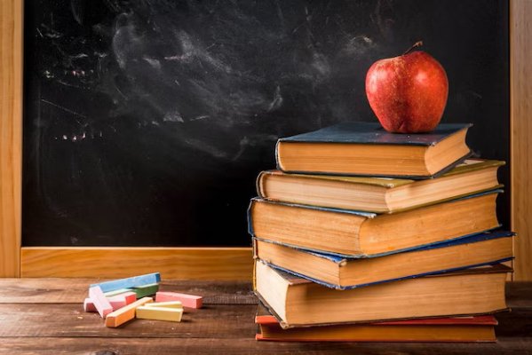 Si sa dove vanno a parare con il sesso a scuola