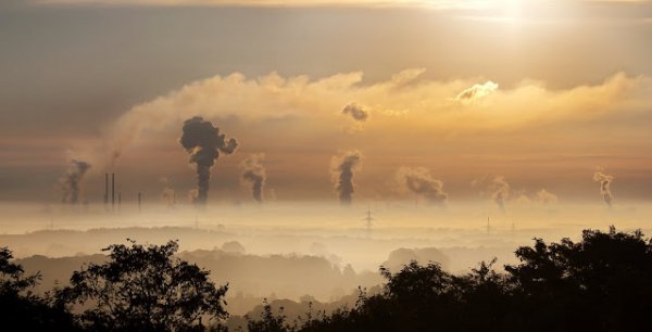 Il pensiero ecologico in seno al G.R.E.C.E. e la saggezza di una storia nel presente