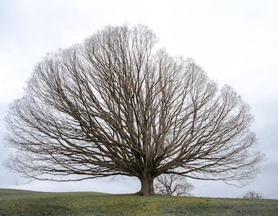 Alchimia per i giorni nostri
