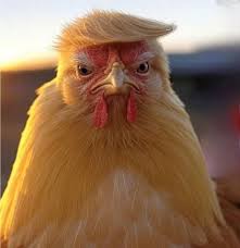 Ma Donald Trump non c&rsquo;entra nulla con il "superuomo"