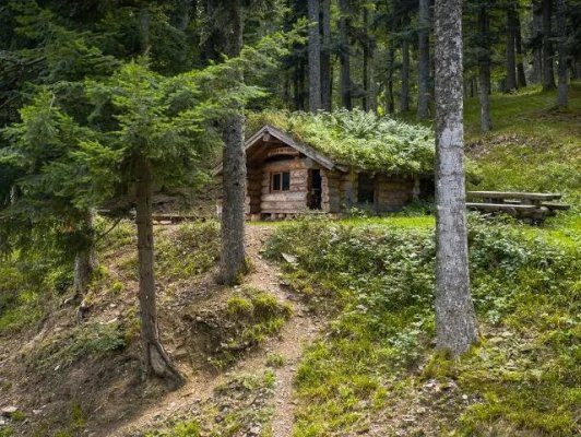 Quando la natura sostituisce le Chiese: lo sviluppo della cultura boreale