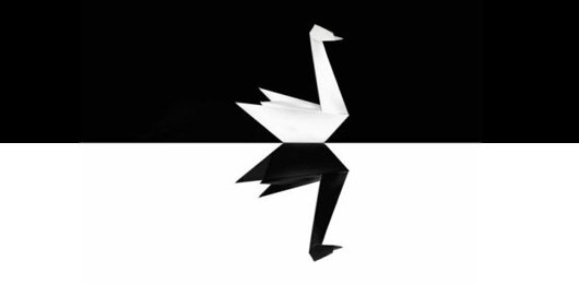 Cigno nero o scheggia impazzita?