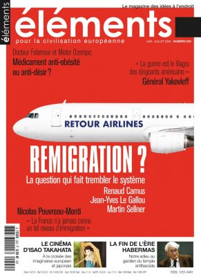 Remigrazione