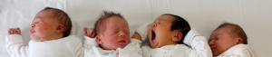 La farsa del Fertility Day