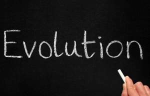 L’ipotesi evoluzionista