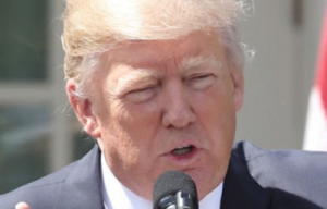 Trump di Siria