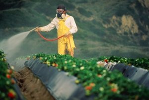Come ucciderci un po' alla volta: il glifosato è un erbicida o un genocida?