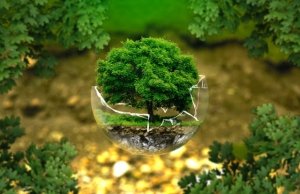 “L’ecologia profonda” di Guido Dalla Casa e il pensiero verde