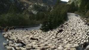 Cosa c'è di peggio del conflitto? La sua negazione