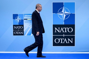 Che cosa ci fa la Turchia nella Nato?