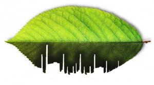 Sostenibilità, equità, solidarietà. Un manifesto politico e culturale