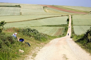 Il Cammino di Santiago