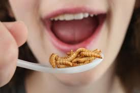 Insetti e OGM: il cibo del futuro secondo i padroni del Mondo