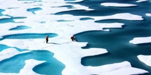 Campioni dell’informazione atlanticamente corretta