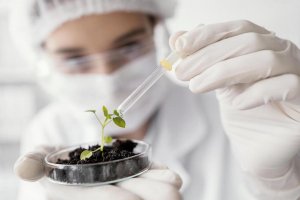 Fermate la sostituzione della terra e la guerra contro la natura