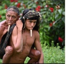 La foto dell'Amazzonia tra percezione e realtà
