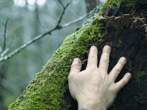 Ecosofia, l’uomo e la sua relazione con la Terra