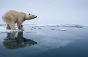 Riscaldamento globale, indifferenza totale: i dati sono catastrofici, ma in Italia non interessa a nessuno