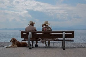 La bieca ottusità degli anti-specisti sfiora il ridicolo