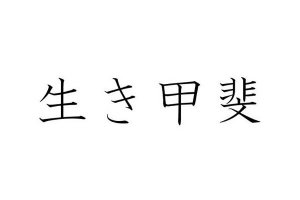 Ikigai, la filosofia giapponese per vivere più a lungo (e meglio)