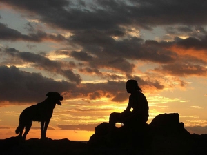 L’essere umano non è solo un animale speciale…