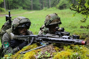 Alleanza strategica fra Austria e Russia