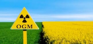 Glifosato, Agrotossici, sementi Ogm. Le vere armi di distruzione di massa