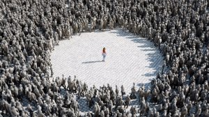 La maggioranza ha ragione?