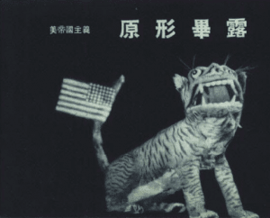 La debole armada: l'inganno di Trump