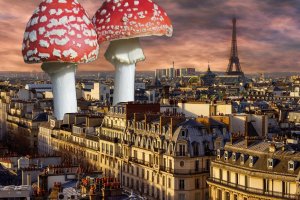 Andare a funghi nel mondo multipolare