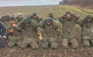 Ottusangoli allo sbaraglio