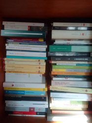 La repubblica degli idioti