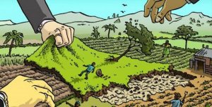 Rubano la campagna e colpevolizzano l'agricoltura