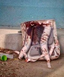 Sovranisti? Se non ora quando...