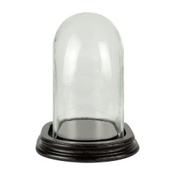 La campana di vetro infrangibile