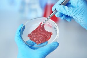 Chi rifiuta la carne sintetica è di destra?