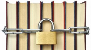 Passaggio al Bosco in Idrovolante