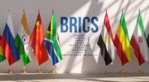 I BRICS e l'insensatezza dell'Occidente