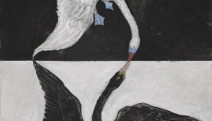 Il genere e la guerra dei sessi