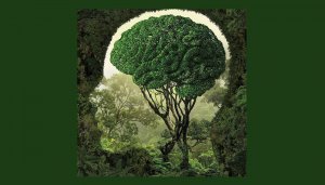 Domande e risposte