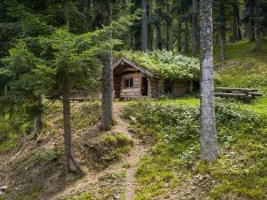 Quando la natura sostituisce le Chiese: lo sviluppo della cultura boreale